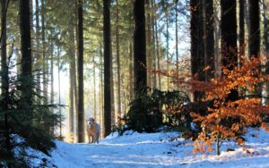 Erlebnisse Roding